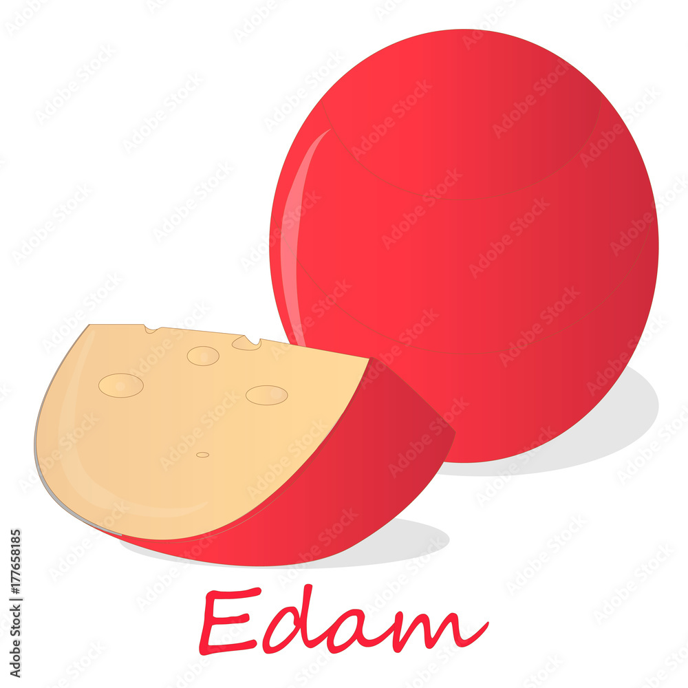 Edam cheese food collection illustration set