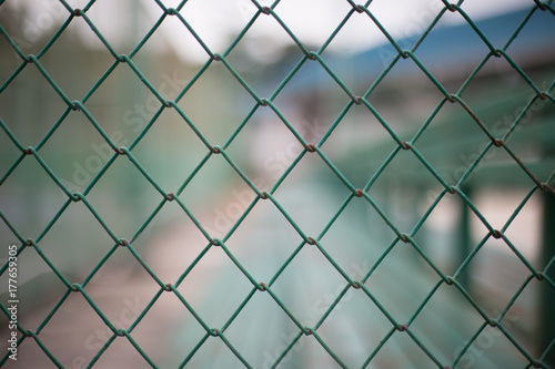 Green metal mesh fence