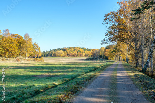 Autumn in the countryside of Ostergotland, Sweden on a sunny day in October 2017
