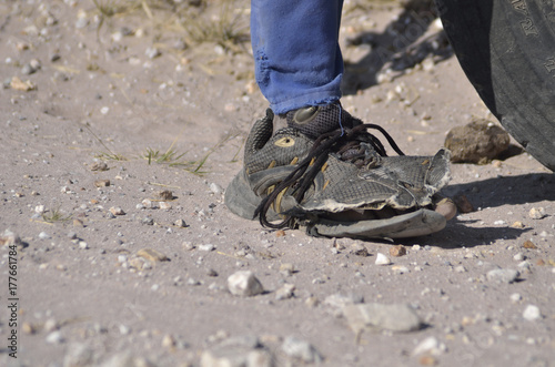 Wallpaper Mural Unverwüstlich mit Gewährlistung Torontodigital.ca