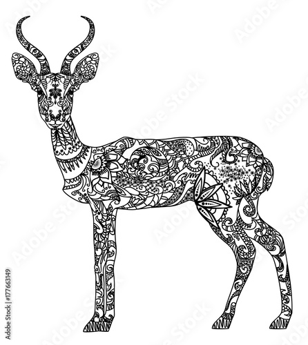 Beautiful patterned antelope
