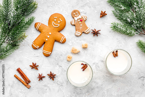 Eggnog, gingerbread cookie with cinnamon and spruce for new year 2018 celebraton winter set. stone background top view photo