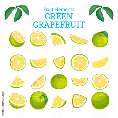 Vector large set of ripe tropical grapefruit fruits. Green oranges peeled piece of half slice leaf. Collection of delicious citrus pomelo designer elements for packaging of juice breakfast health food