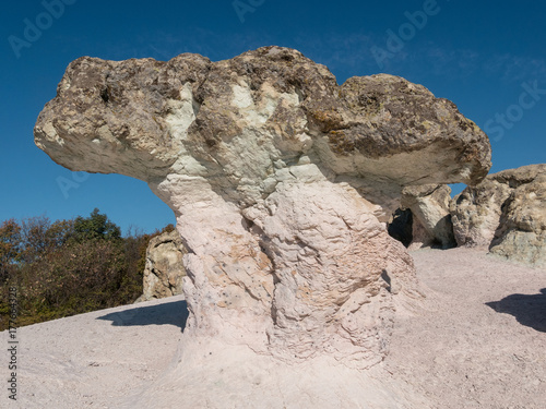 Zeolite natural stone phenomenon. The Stone Mushrooms