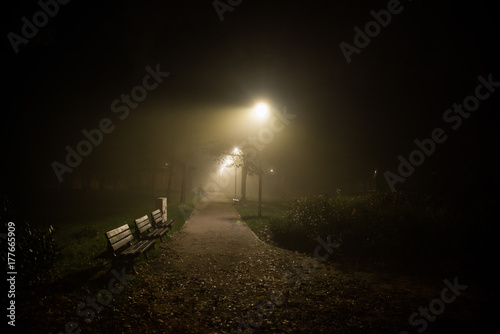 Fototapeta Naklejka Na Ścianę i Meble -  fog in the park, night, soft focus, high iso,