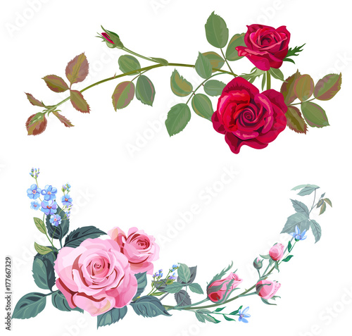 Collection of branch curly pink, red rose, bouquet with blue flowers forget-m...