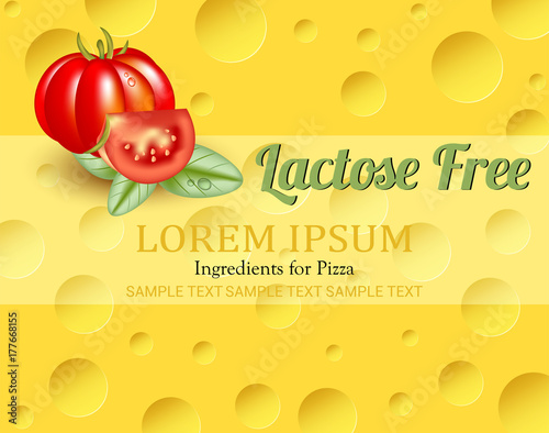 Cheese, lactose free. Ingredients for pizza background photo