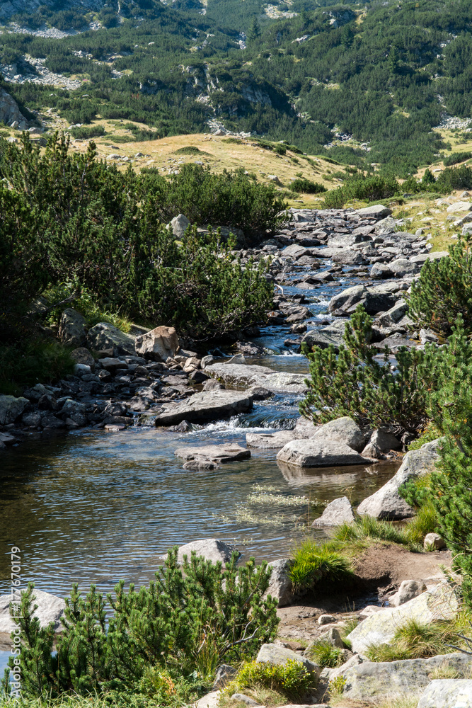 Pirin Mountain - Bulgaria Pirin Mountain - Bulgaria