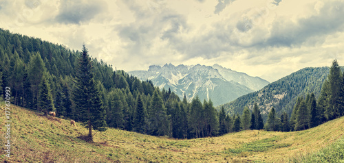 Mountains landscape with horses.