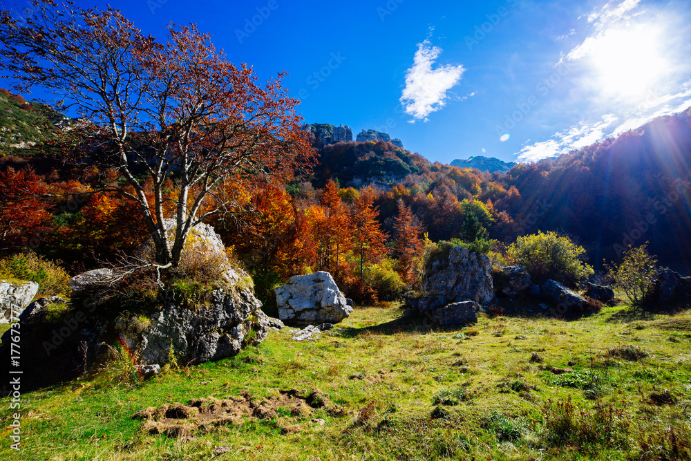 Valli del Pasubuio, Vicenza Valli del Pasubuio, Vicenza