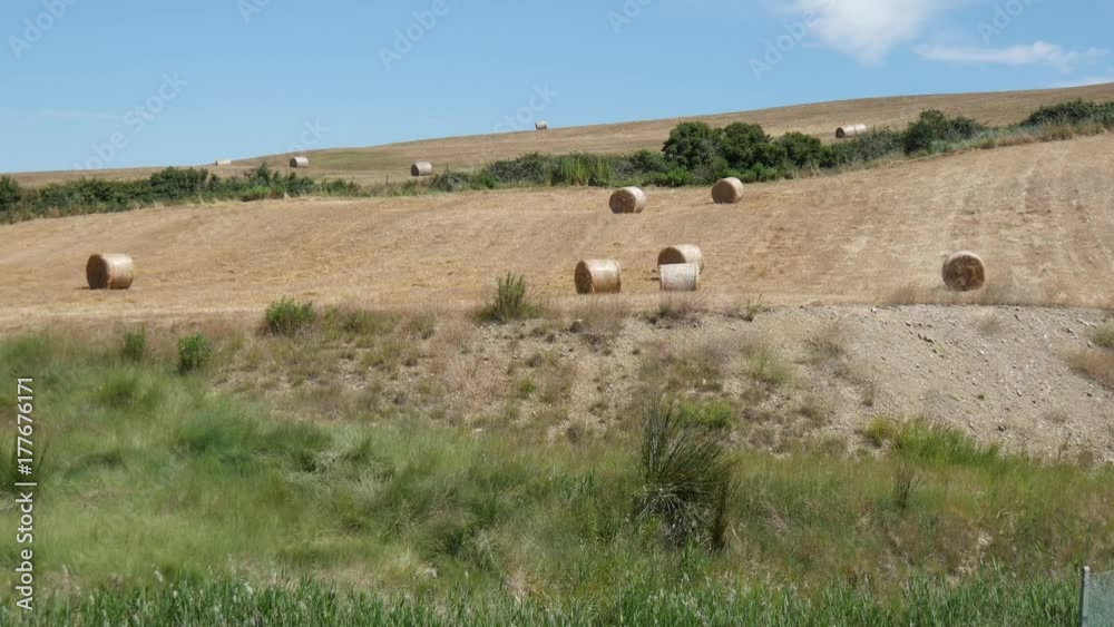 Balle di fieno nella campagna in Toscana Balle di fieno nella campagna in Toscana