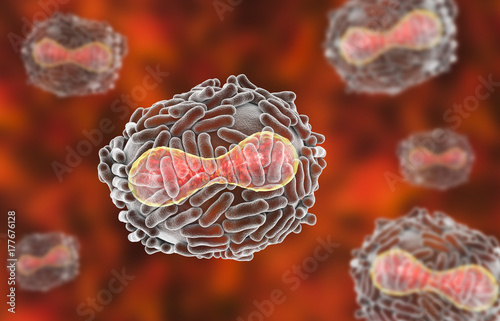 Variola virus, a virus from Orthopoxviridae family that causes smallpox, highly contagious disease eradicated by vaccination, 3D illustration photo