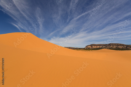 Coral Pink Sand Dunes in Utah USA