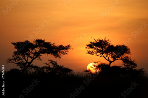 nairobi sunrise photo