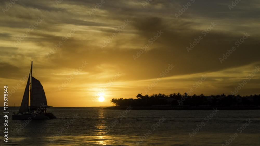 Fototapeta premium Drenched in Yellow