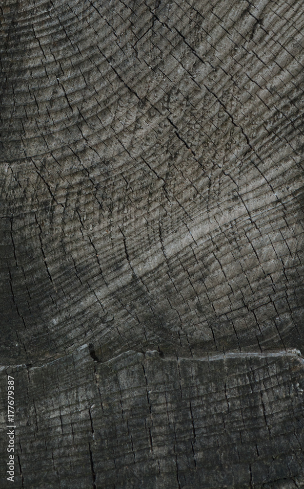 Fototapeta premium Vertical viewof front view of old wood background or texture