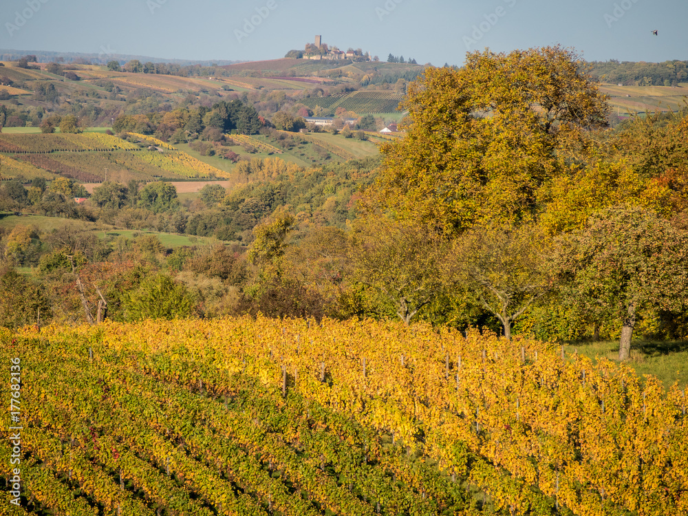 Weinberge in Oberderdingen