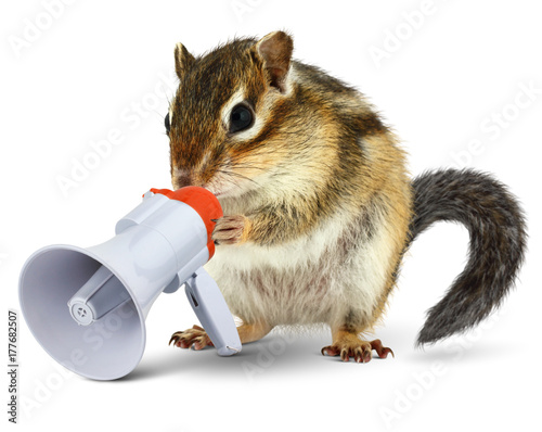 Funny animal chipmunk talking into megaphone