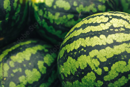 Watermelons on truck