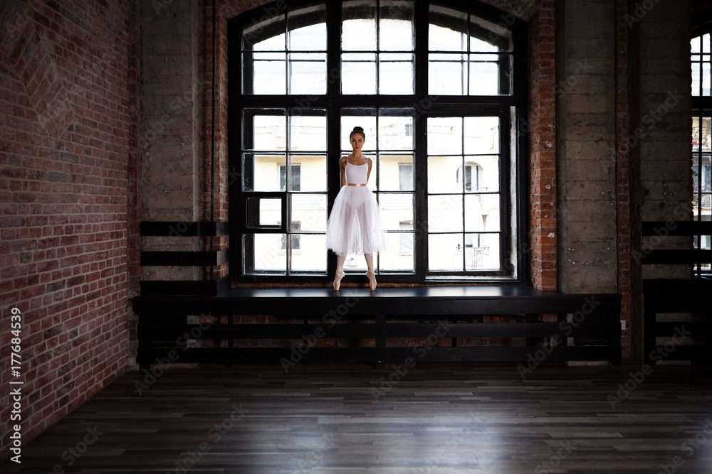 Gorgeous talented young European ballerina standing on toes wearing pointe shoes and tutu, posing on windowsill of spacious ballet studio, demonstrating her skills, having focused confident expression