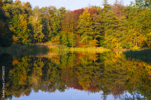 Autumn forest reflection in the calm lake.