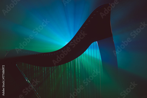 Obraz na plátne Electro harp in the rays of light