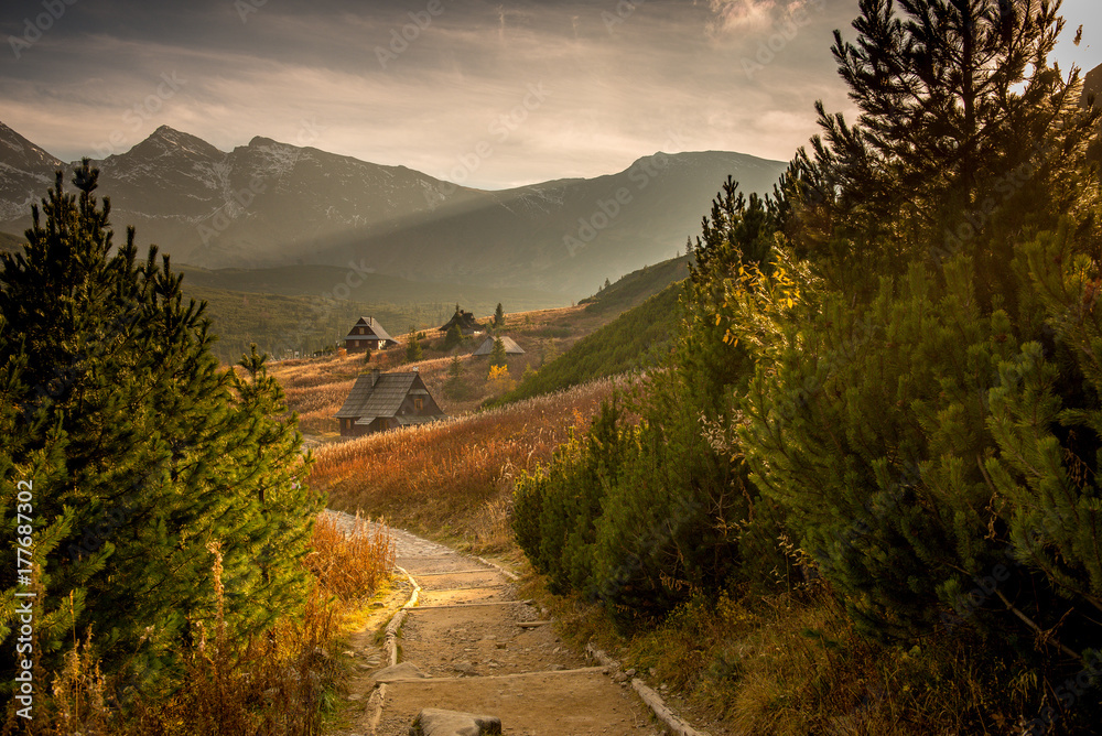 Obraz premium Hala Gąsienicowa w Tatrach, pora roku - jesień