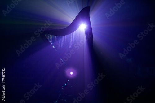 Canvastavla Electro harp in the rays of light