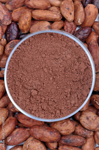 Cocoa powder in a bowl with beans on table