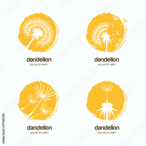 Fototapeta Naklejka Na Ścianę i Meble -  Set of vector logo, icon or emblem with yellow dandelions. Watercolor hand drawn design template for flowers delivery or gift shop.