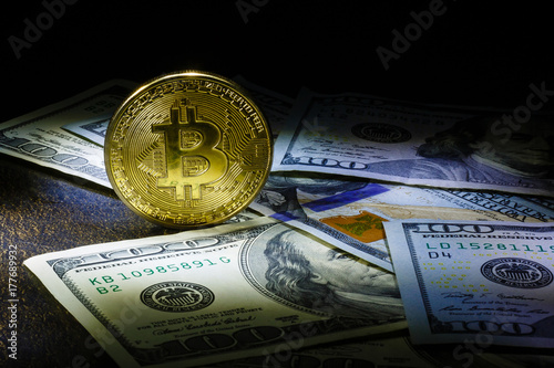 bitcoin dollars on a black background Golden bitcoins with the spotlight