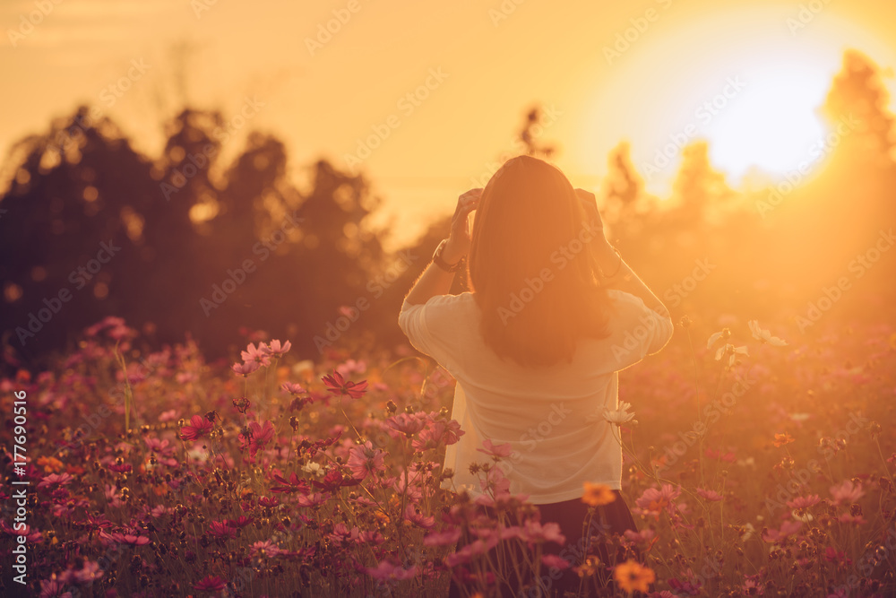 Portrait of women standing in cosmos flowers field during the sunset from the back view.