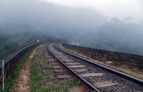 Railway forest in mist, Ella, Sri Lanka