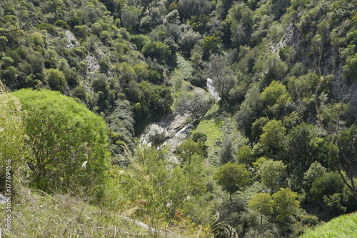Paesaggi Noto Antica photo