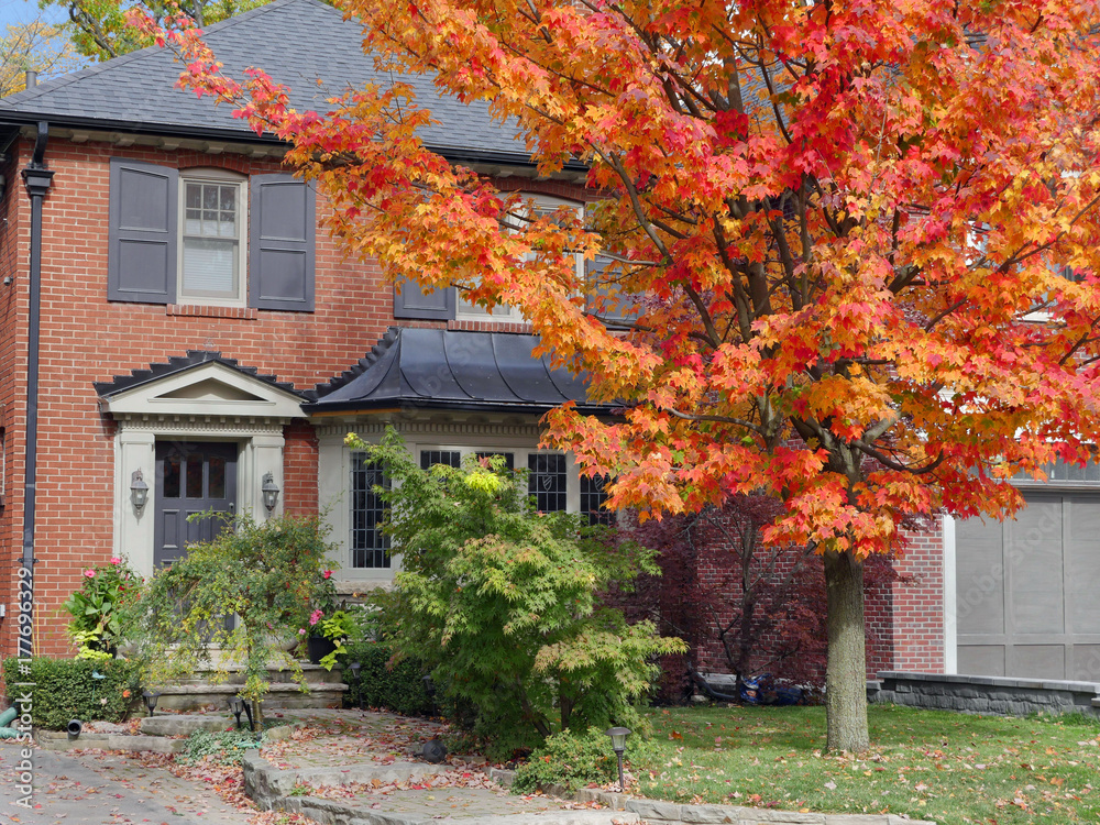house in fall with colorful maple tree