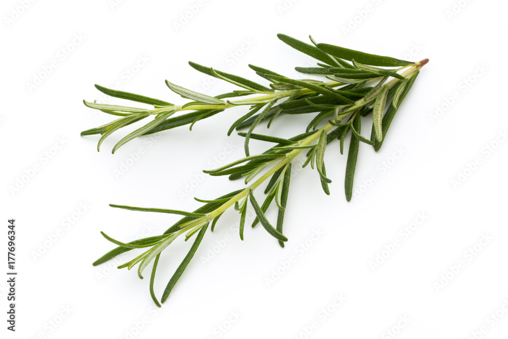 Rosemary isolated on white background, Top view.