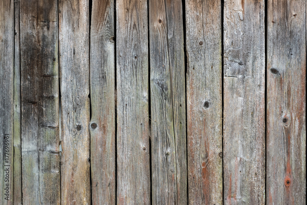 Texture of wooden background, traces of damage by bark worms. Ukraine Texture of wooden background, traces of damage by bark worms. Ukraine