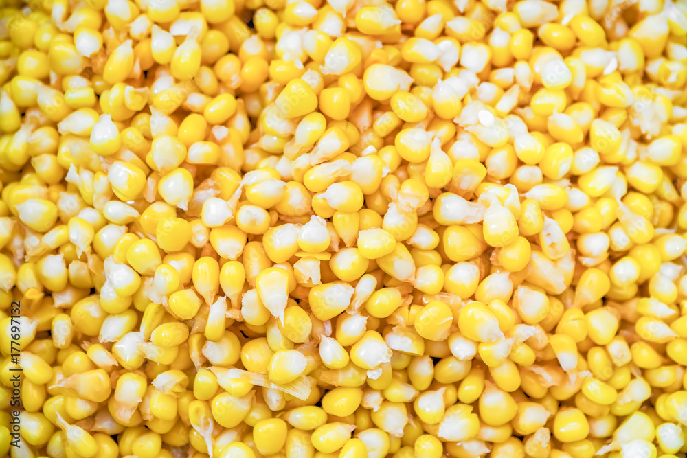Close-up of tinned sweetcorn from above Close-up of tinned sweetcorn from above