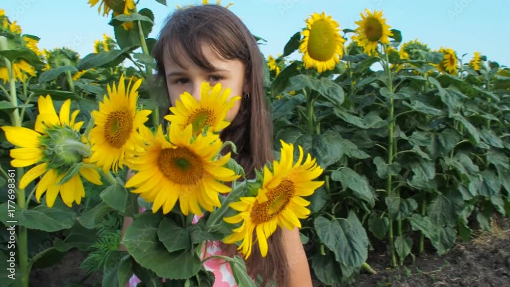 Child with a bouquet of sunflowers. Happy little girl with sunflower flowers. Child with a bouquet of sunflowers. Happy little girl with sunflower flowers.