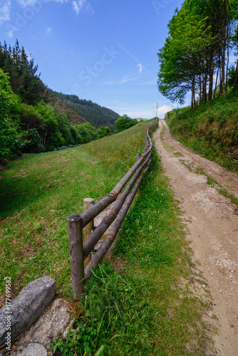 Mazonovo photo