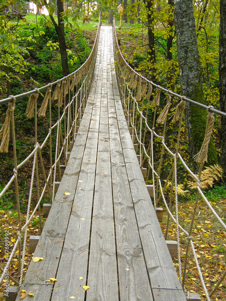 Suspension bridge in the forest.