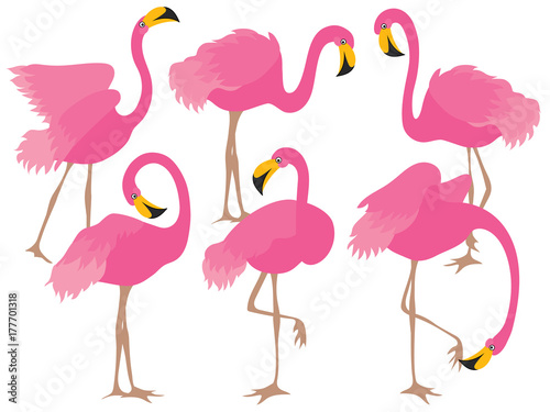 Vector Set of Beautiful Pink Flamingos