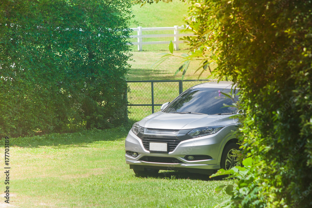 Car parked on green grass surrouned with green trees beside outdoor garden.