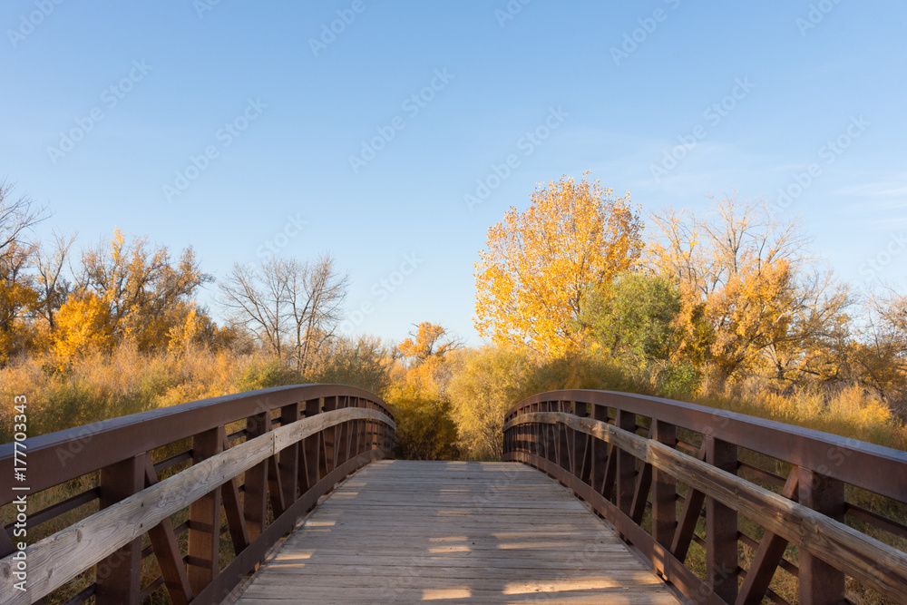 A wooden foot bridge leading to Norm's Island. Fall foliage on deciduous trees is in the background and blue sky with thin clouds above.