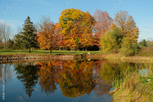Fall reflection of colors on a pond