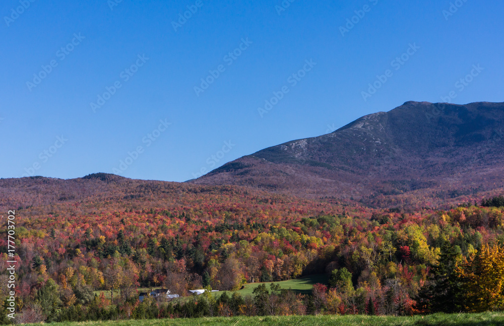 a landscape of  trees with bright autumn fall foliage colors  and green grass  on a hillside