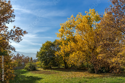 Amazing Autumn landscape with Yellow trees in South Park in city of Sofia, Bulgaria