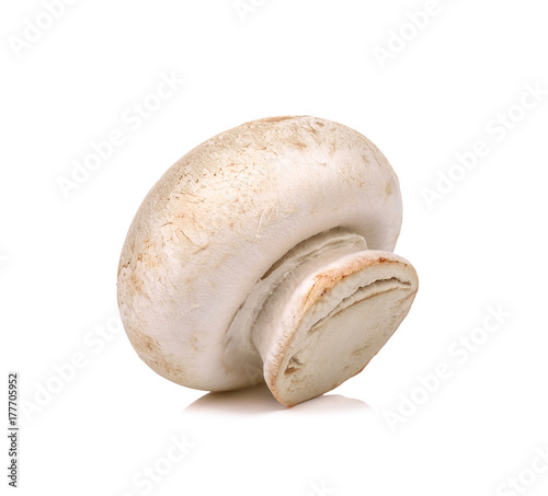 Champignon mushroom isolated on the white background