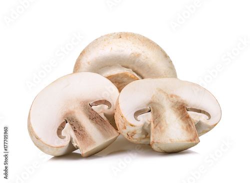 Champignon mushroom isolated on the white background
