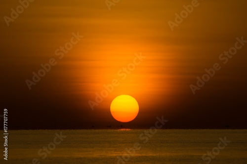 Fototapeta Naklejka Na Ścianę i Meble -  Big sunrise in golden hour at the lake.